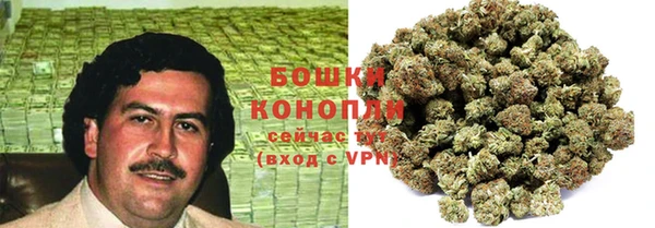 2c-b Осинники