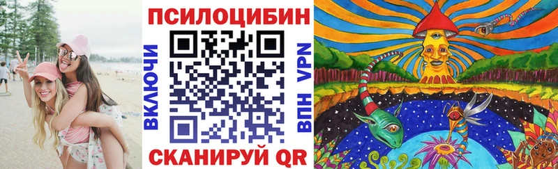 купить наркоту  Хвалынск  Галлюциногенные грибы MAGIC MUSHROOMS 